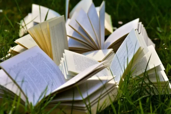 Biblioteka w Buczku zamyka się na urlop – ostatnia szansa na książki