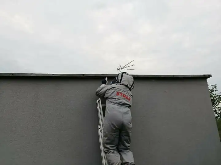 Interwencja OSP Buczek: usunięcie gniazda szerszeni w Woli Bachorskiej