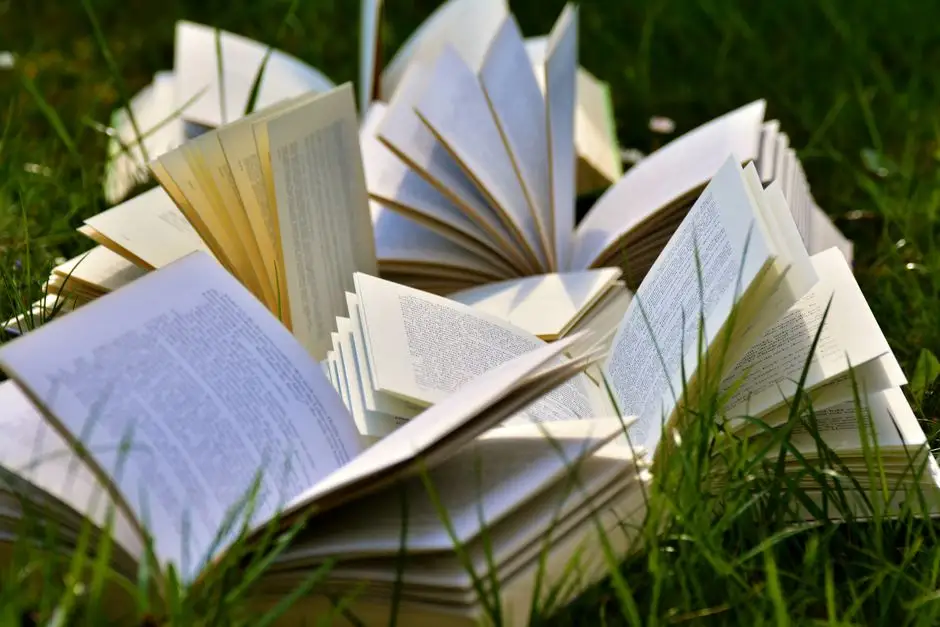 Letnie propozycje czytelnicze w bibliotece – wybierz coś dla siebie