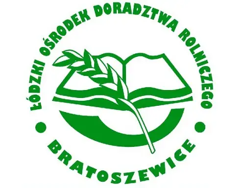 Kościerzyński Dzień Ziemniaka – święto lokalnej tradycji