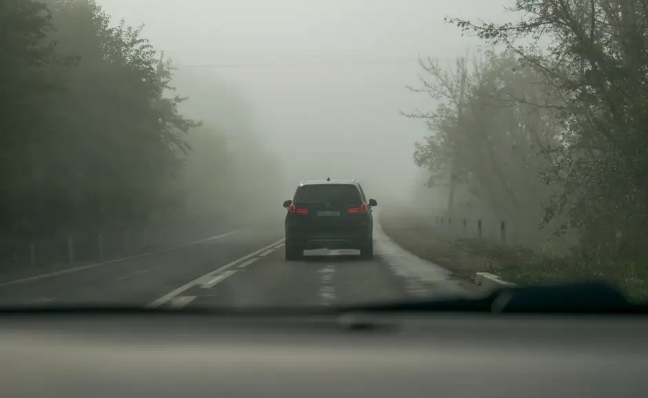 Jesień na drogach – zachowajmy szczególną ostrożność